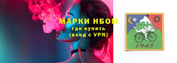 амф Верея
