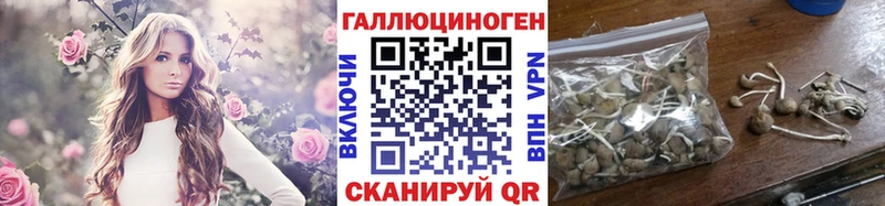 Псилоцибиновые грибы GOLDEN TEACHER  Купить  Кораблино 